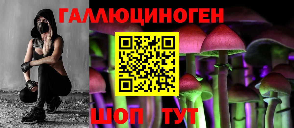 Галлюциногенные грибы GOLDEN TEACHER  закладка  Псков  Вход с VPN 